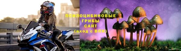 стаф Мегион