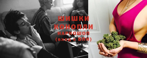 сатива Медвежьегорск