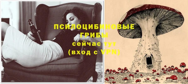сатива Медвежьегорск