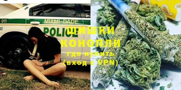 стаф Мегион